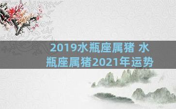 2019水瓶座属猪 水瓶座属猪2021年运势